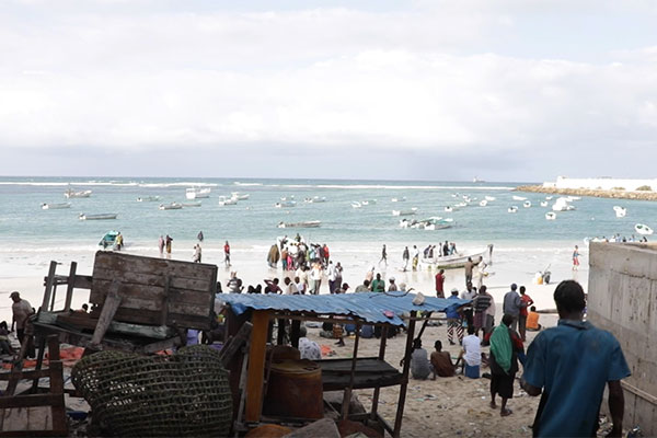 Mogadishu fish market